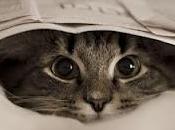 Between Some Words. NEWS