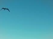 Palabras: Momentos extraños