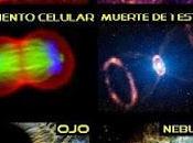 nombre Dios....