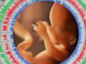 Logran conocer feto prácticas invasivas