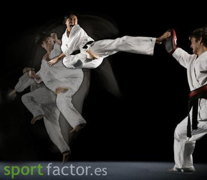 Entrenamiento para artes marciales y boxeo