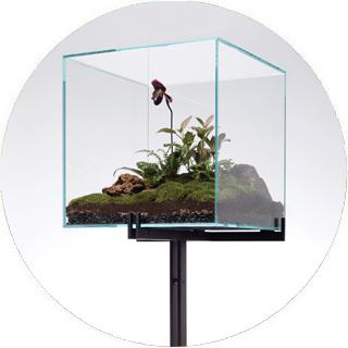 Jardines encerrados en cristal