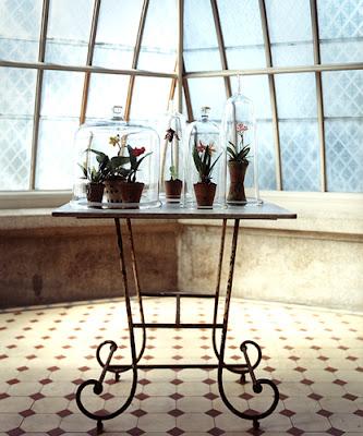 Jardines encerrados en cristal