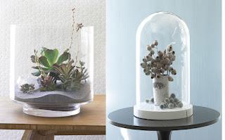 Jardines encerrados en cristal