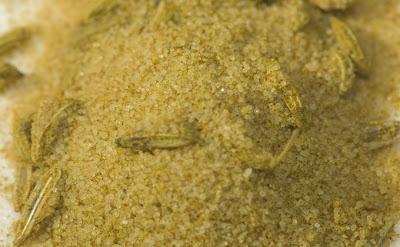 20 alimentos para no envecejer