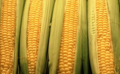 20 alimentos para no envecejer