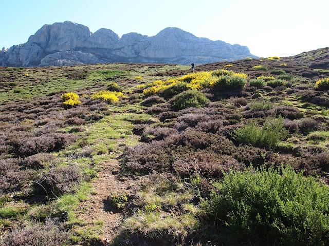 peña orniz, torre de orniz y la cervata