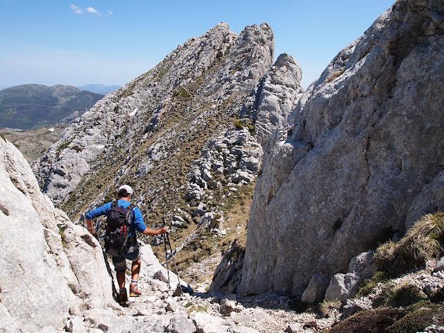 peña orniz, torre de orniz y la cervata