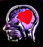 Localizan las Areas Cerebrales que controlan el Amor