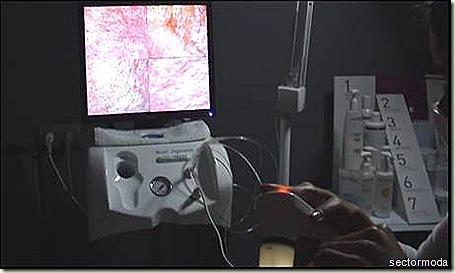 clip_image002 clip_image002