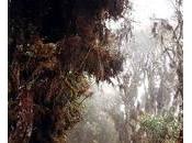 caminos siempre vuelta