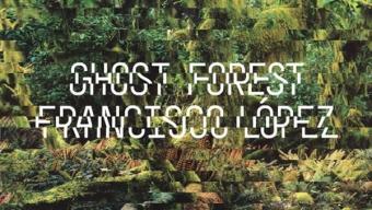 Ghost Forest :: instalación en el Pabellón Mies van der Rohe Ghost Forest :: instalación en el Pabellón Mies van der Rohe