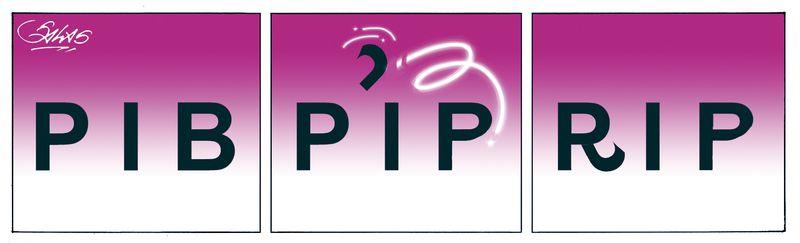 PIB-RIP