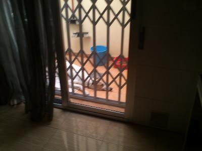 URGENTE GALGO EN LOS HUESOS,CASI NI SE MANTIENE EN PIE!! (MURCIA) SIGUE IGUAL...