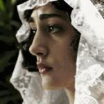 Pollo_con_ciruelas_28 Pollo_con_ciruelas_28