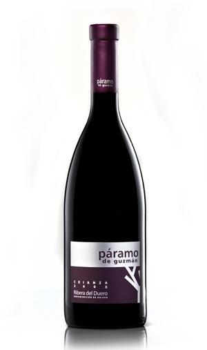 Paramo de Guzman Raíz de Guzmán Crianza 2009