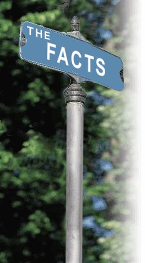 ¿DE QUÉ ESTÁN HECHOS LOS HECHOS?