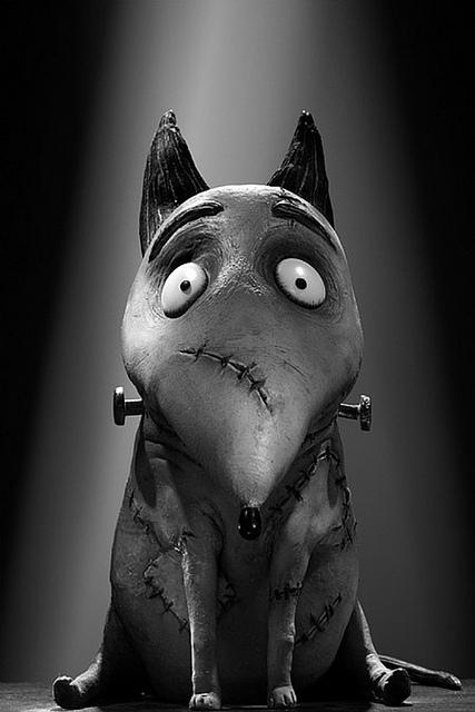 Frankenweenie-Sparky