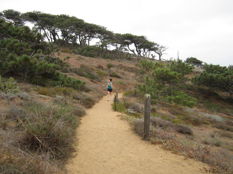 Torrey Pines y un nuevo amor: hiking