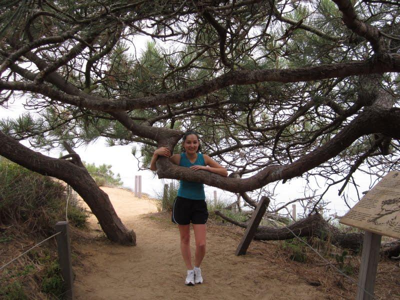 Torrey Pines y un nuevo amor: hiking
