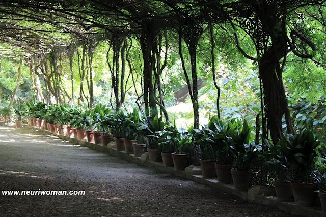 Marqueses por una noche en el Jardín Botánico de Málaga.