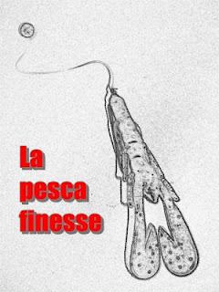 La pesca finesse