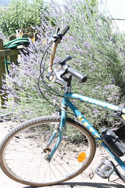 Pic momentos de verano