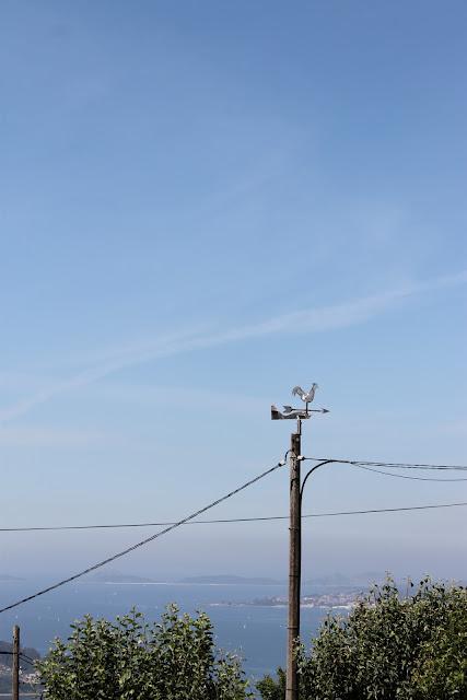 Pic momentos de verano