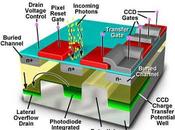 publica Nature diseño cámara fotográfica gigapíxeles