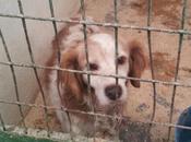 Pacho otro exprimido máximo sirve cazadores