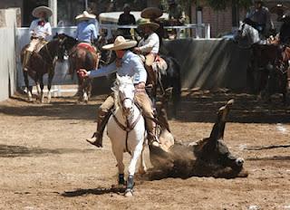 Camino Real 423 y Pichones “B” 401, dos más al Nacional