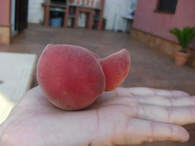 MADURACIÓN DE LAS FRUTAS DE ALGUNOS DE MIS ARBOLES FRUTALES