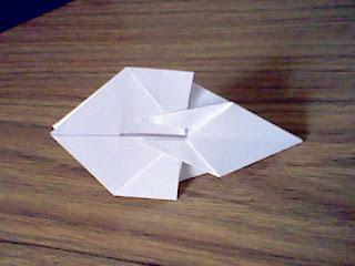 Conociendo la base de Clamidosaurio Conociendo la base de Clamidosaurio