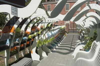 Un invernadero fósil