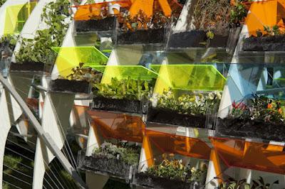 Un invernadero fósil