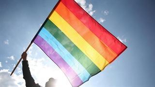Un tribunal de Estonia se pronuncia a favor de una pareja gay que quiere casarse