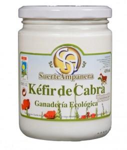 Un alimento muy saludable, el Kéfir
