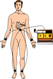 Confirmado: la política puede ser útil