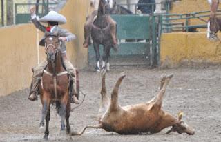 Otros 4 de Occidente con boleto