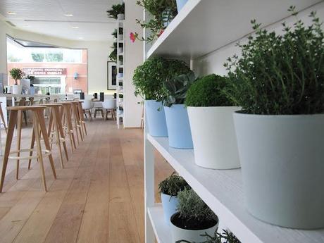 El nuevo LATERAL de Castellana, ¿comemos fuera o dentro?