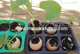 Divertite cuidando el planeta