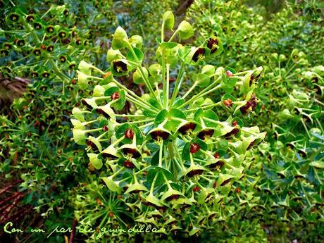 Camino de Santieago, etapa 4: Puente la Reina - Estella. ¡Y llegó el infierno!