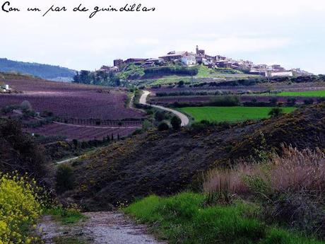 Camino de Santieago, etapa 4: Puente la Reina - Estella. ¡Y llegó el infierno!