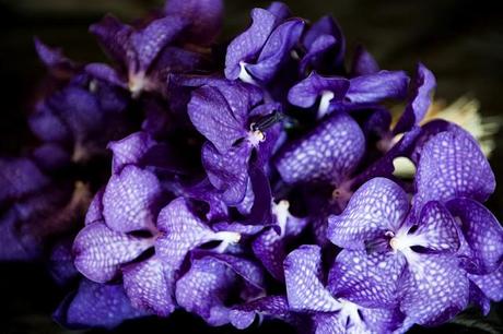 Un 12 de mayo mágico en el Empordà - Nuestra Boda #12M