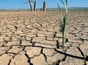 Sequía