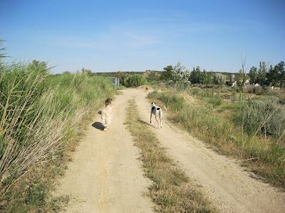 En San Juan, sanjuaneo...!!