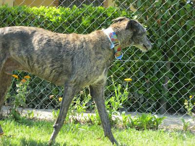 En San Juan, sanjuaneo...!!