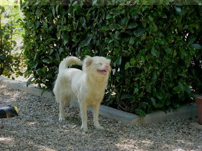 En San Juan, sanjuaneo...!!