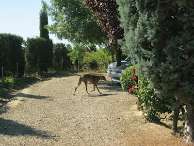 En San Juan, sanjuaneo...!!