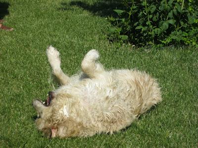 En San Juan, sanjuaneo...!!